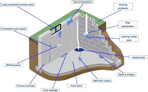 Basement Problem Finder