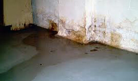Cove Joint Seepage Cove Joint Seepage