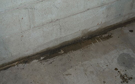 Cove Joint Seepage Cove Joint Seepage