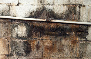 Efflorescence Efflorescence