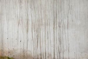 Yard Grading causing water seepage Yard Grading causing water seepage